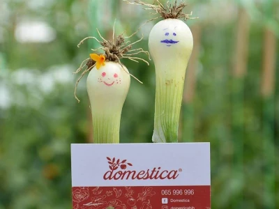 Mladi tim razvio brend Domestica