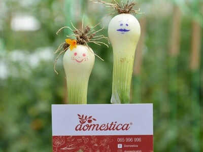 Mladi tim razvio brend Domestica Mladi tim razvio brend Domestica