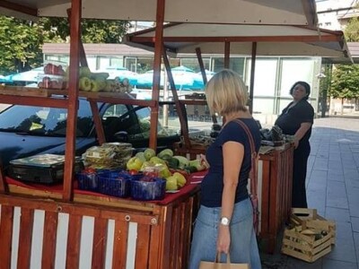 Mladi tim razvio brend Domestica Mladi tim razvio brend Domestica