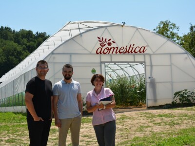 Mladi tim razvio brend Domestica Mladi tim razvio brend Domestica