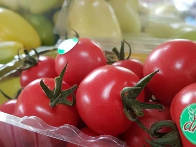 Mladi tim razvio brend Domestica