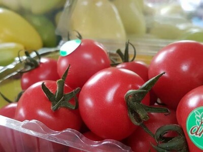 Mladi tim razvio brend Domestica Mladi tim razvio brend Domestica