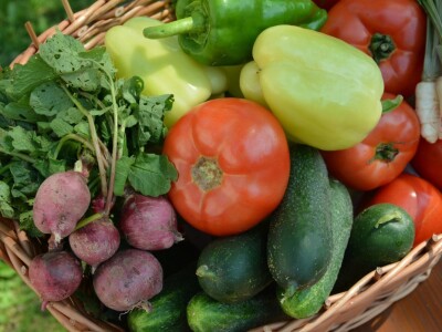 Mladi tim razvio brend Domestica Mladi tim razvio brend Domestica