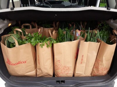 Mladi tim razvio brend Domestica Mladi tim razvio brend Domestica