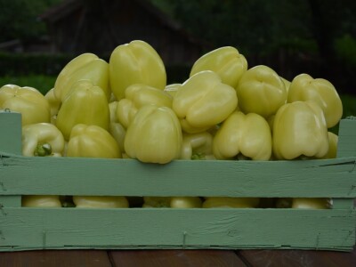 Mladi tim razvio brend Domestica Mladi tim razvio brend Domestica