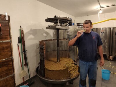 Mladi vinari i vinogradari sa otoka Visa