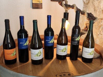 Mladi vinari i vinogradari sa otoka Visa