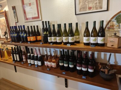 Mladi vinari i vinogradari sa otoka Visa