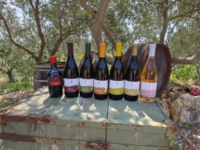 Mladi vinari i vinogradari sa otoka Visa