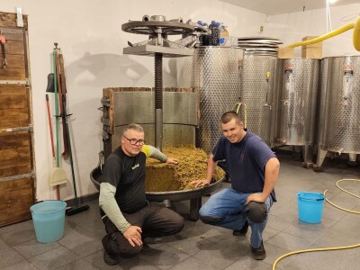 Mladi vinari i vinogradari sa otoka Visa