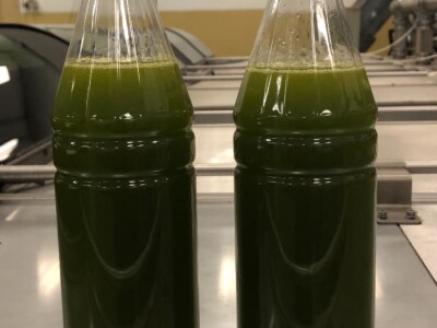 PRERADA MASLINA - Dalmatinci preduhitrili Istrane: Prvo ovogodišnje ekstra djevičansko ulje poteklo od maslina Jure Čudine iz Pakoštana! PRERADA MASLINA - Dalmatinci preduhitrili Istrane: Prvo ovogodišnje ekstra djevičansko ulje poteklo od maslina Jure Čudine iz Pakoštana!