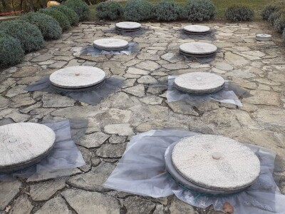 Mlado vino uoči Vincekova