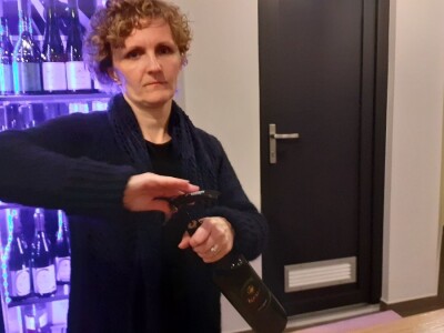 Mlado vino uoči Vincekova