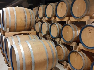 Mlado vino uoči Vincekova