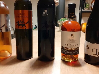 Mlado vino uoči Vincekova