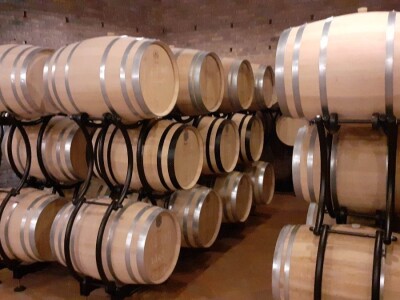 Mlado vino uoči Vincekova