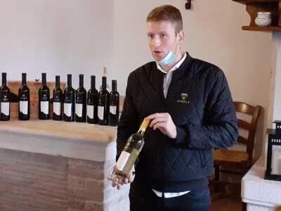 Mlado vino uoči Vincekova