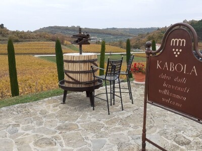 Mlado vino uoči Vincekova