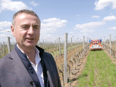 Robot koji obavlja petnaest poslova u zasadu, foto: M. Lazarević