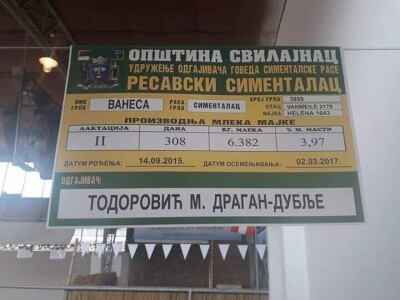 Mlečno govedarstvo se isplati