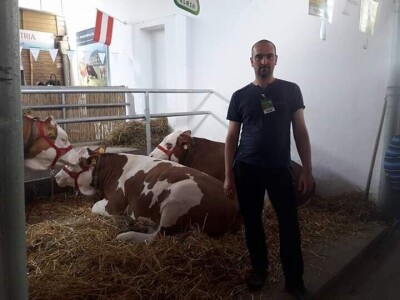 Mlečno govedarstvo se isplati