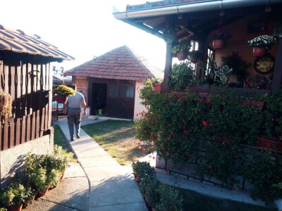 Mlečno govedarstvo u porodici Mijailović