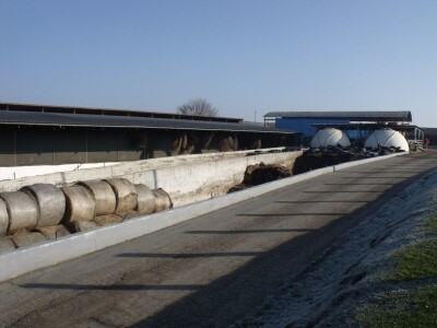 Mliječna farma Agrobovis