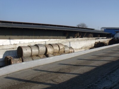 Mliječna farma Agrobovis