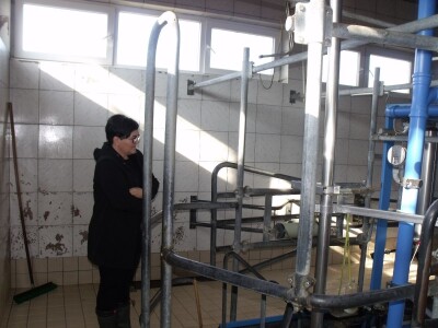 Mliječna farma Agrobovis