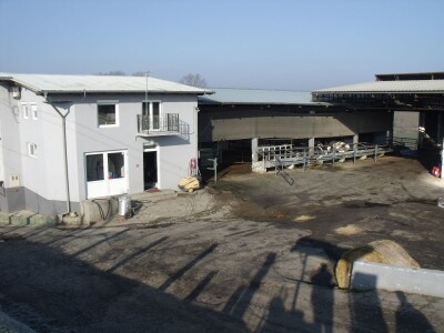 Mliječna farma Agrobovis