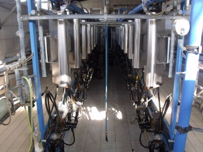 Mliječna farma Agrobovis