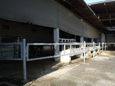 Mliječna farma Agrobovis