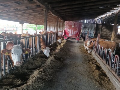 Mliječna farma Josipa Lukića