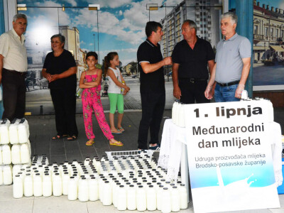 Međunarodni dan mlijeka