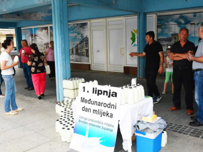 Međunarodni dan mlijeka