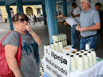 Međunarodni dan mlijeka