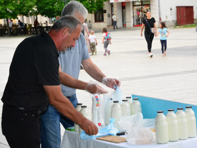 Međunarodni dan mlijeka