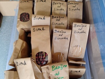 Mlin obitelji Jurić u Rami