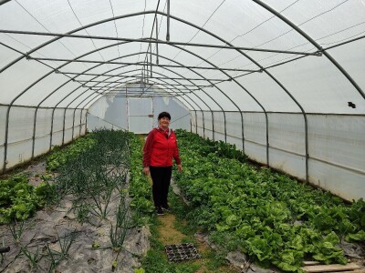 Mlin obitelji Jurić u Rami