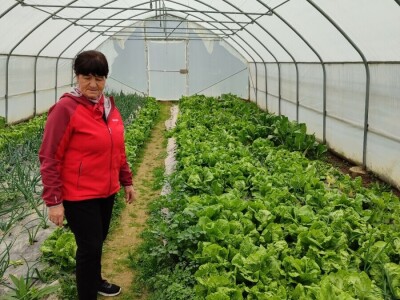 Mlin obitelji Jurić u Rami