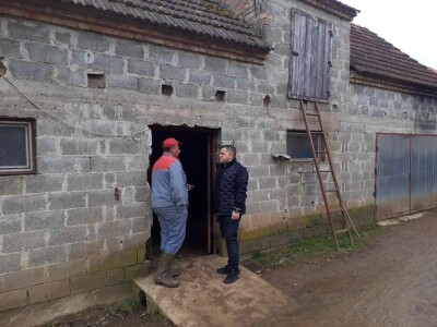 Mljekaru iz Laktaša od strujnog udara stradalo osam krava Mljekaru iz Laktaša od strujnog udara stradalo osam krava