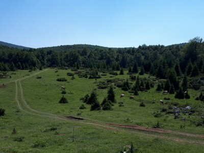 Moderni hajduci promovišu Suvu planinu
