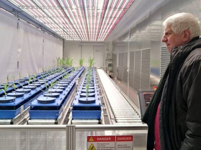 Modularni sustav fenotipizacije biljaka u Poljoprivrednom institutu u Martonvasaruu Modularni sustav fenotipizacije biljaka u Poljoprivrednom institutu u Martonvasaruu