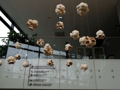 Modularni sustav fenotipizacije biljaka u Poljoprivrednom institutu u Martonvasaruu Modularni sustav fenotipizacije biljaka u Poljoprivrednom institutu u Martonvasaruu