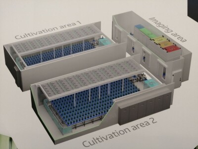 Modularni sustav fenotipizacije biljaka u Poljoprivrednom institutu u Martonvasaruu Modularni sustav fenotipizacije biljaka u Poljoprivrednom institutu u Martonvasaruu