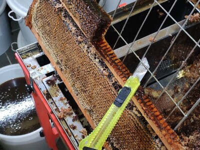 Moje pravilo je "Sve za kvalitet, a kvalitet ni za šta ne dam"