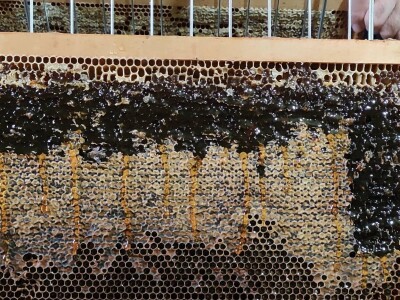 Moje pravilo je "Sve za kvalitet, a kvalitet ni za šta ne dam"