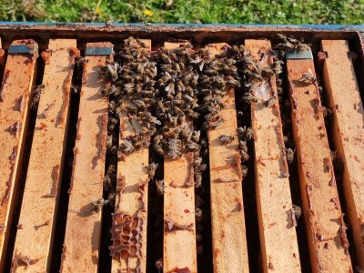 Moje pravilo je "Sve za kvalitet, a kvalitet ni za šta ne dam"