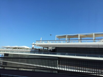 SCARYBIRD - Efikasno i na moru protiv galebova