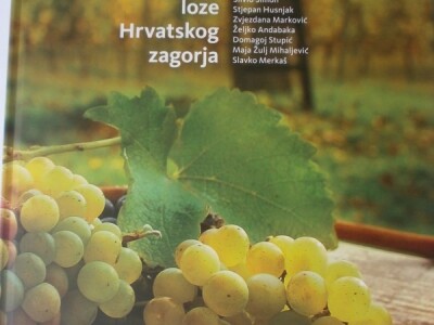 Naslovnica monografije